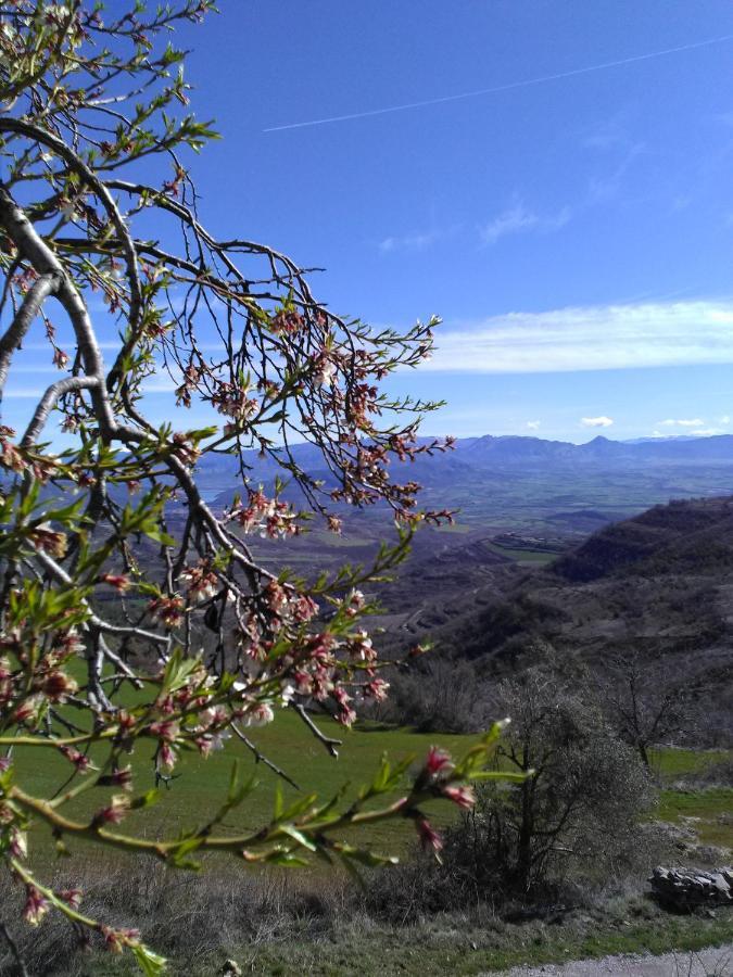 L'Estudi Daire El Meull Dış mekan fotoğraf